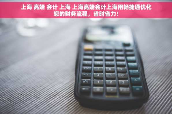 上海 高端 会计 上海 上海高端会计上海用畅捷通优化您的财务流程，省时省力！