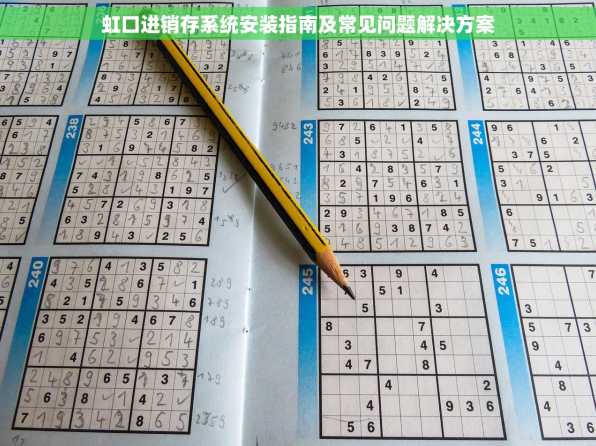 虹口进销存系统安装指南及常见问题解决方案
