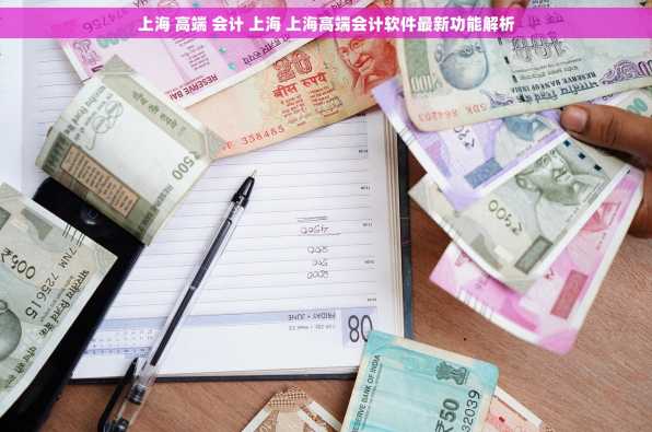 上海 高端 会计 上海 上海高端会计软件最新功能解析