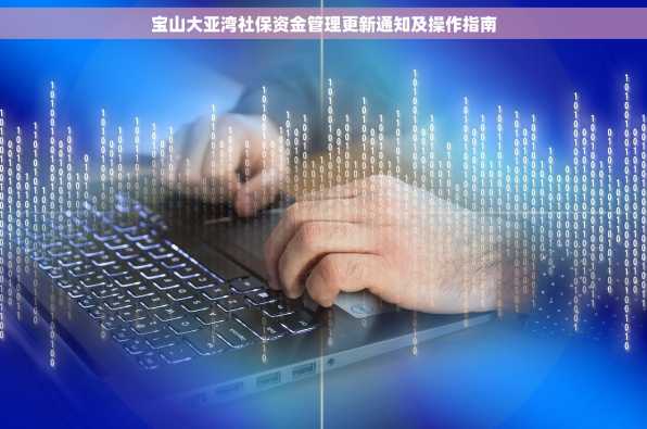 宝山大亚湾社保资金管理更新通知及操作指南