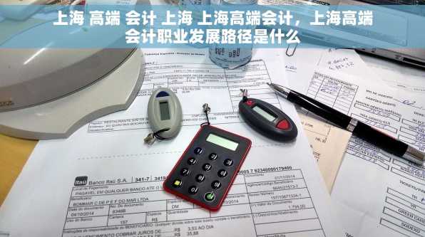 上海 高端 会计 上海 上海高端会计，上海高端会计职业发展路径是什么