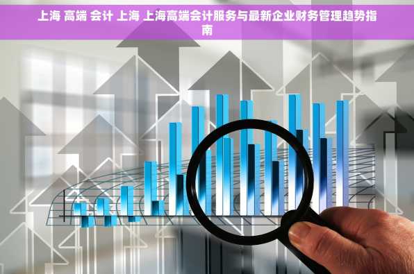 上海 高端 会计 上海 上海高端会计服务与最新企业财务管理趋势指南