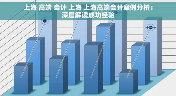 上海 高端 会计 上海 上海高端会计案例分析：深度解读成功经验