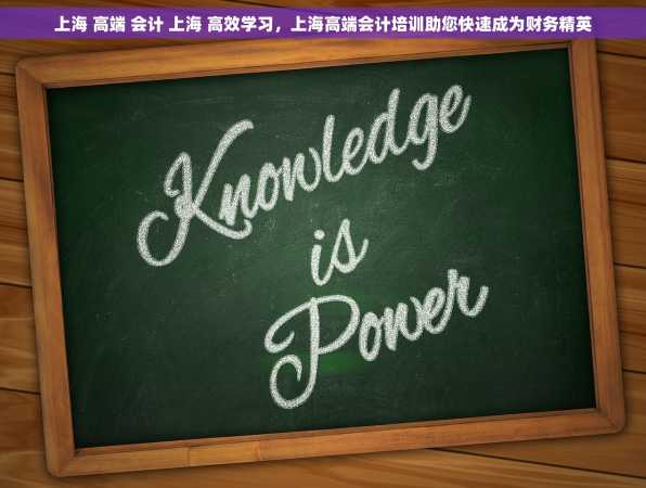 上海 高端 会计 上海 高效学习，上海高端会计培训助您快速成为财务精英