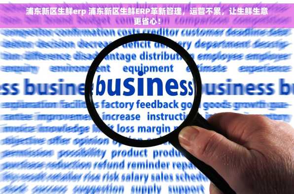 浦东新区生鲜erp 浦东新区生鲜ERP革新管理，运营不累，让生鲜生意更省心！