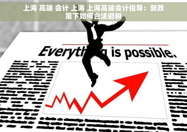 上海 高端 会计 上海 上海高端会计指导：新政策下如何合法避税