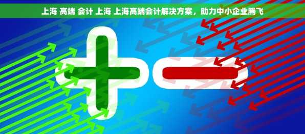 上海 高端 会计 上海 上海高端会计解决方案，助力中小企业腾飞