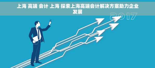 上海 高端 会计 上海 探索上海高端会计解决方案助力企业发展