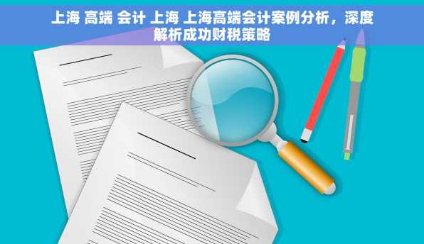 上海 高端 会计 上海 上海高端会计案例分析，深度解析成功财税策略
