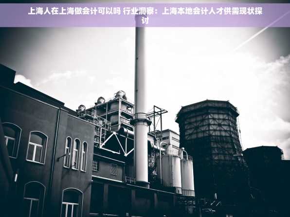 上海人在上海做会计可以吗 行业洞察：上海本地会计人才供需现状探讨