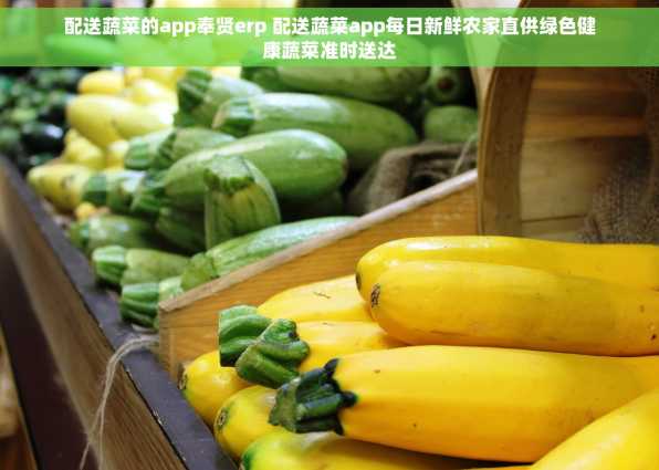 配送蔬菜的app奉贤erp 配送蔬菜app每日新鲜农家直供绿色健康蔬菜准时送达