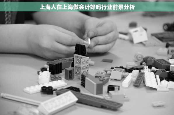 上海人在上海做会计好吗行业前景分析