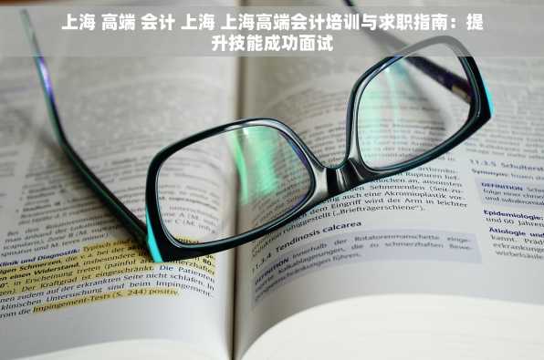 上海 高端 会计 上海 上海高端会计培训与求职指南：提升技能成功面试