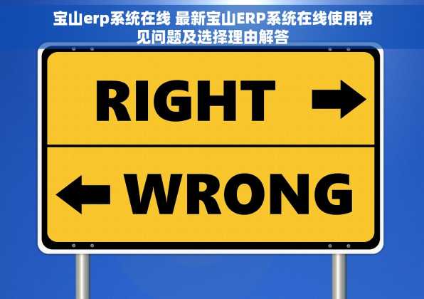 宝山erp系统在线 最新宝山ERP系统在线使用常见问题及选择理由解答