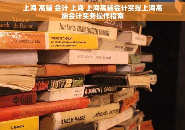 上海 高端 会计 上海 上海高端会计实操上海高端会计实务操作指南