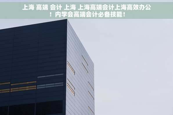 上海 高端 会计 上海 上海高端会计上海高效办公！内学会高端会计必备技能！