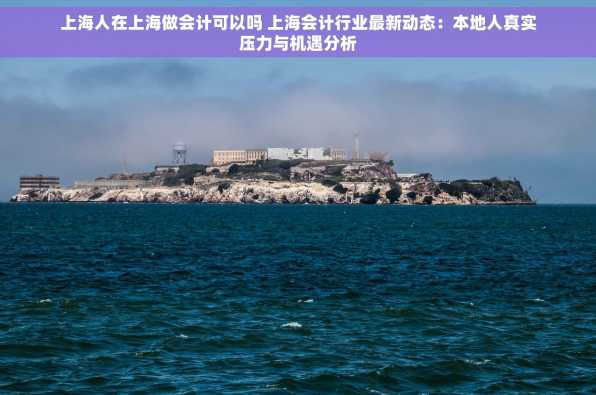 上海人在上海做会计可以吗 上海会计行业最新动态：本地人真实压力与机遇分析