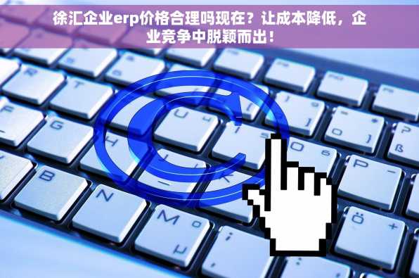徐汇企业erp价格合理吗现在？让成本降低，企业竞争中脱颖而出！