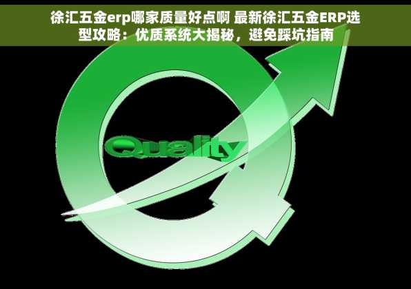徐汇五金erp哪家质量好点啊 最新徐汇五金ERP选型攻略：优质系统大揭秘，避免踩坑指南
