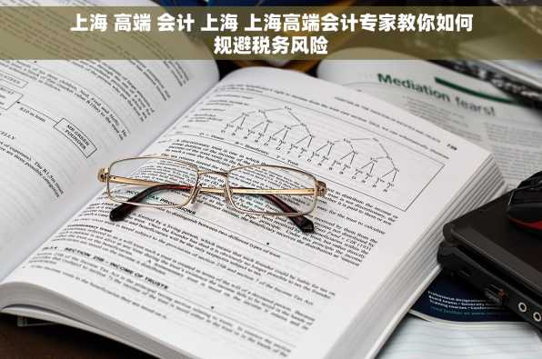 上海 高端 会计 上海 上海高端会计专家教你如何规避税务风险