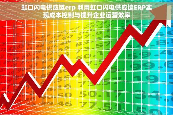 虹口闪电供应链erp 利用虹口闪电供应链ERP实现成本控制与提升企业运营效率