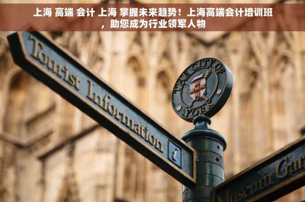 上海 高端 会计 上海 掌握未来趋势！上海高端会计培训班，助您成为行业领军人物