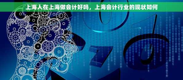 上海人在上海做会计好吗，上海会计行业的现状如何