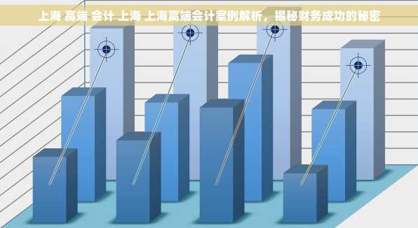 上海 高端 会计 上海 上海高端会计案例解析，揭秘财务成功的秘密