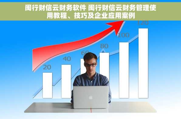 闽行财信云财务软件 闽行财信云财务管理使用教程、技巧及企业应用案例