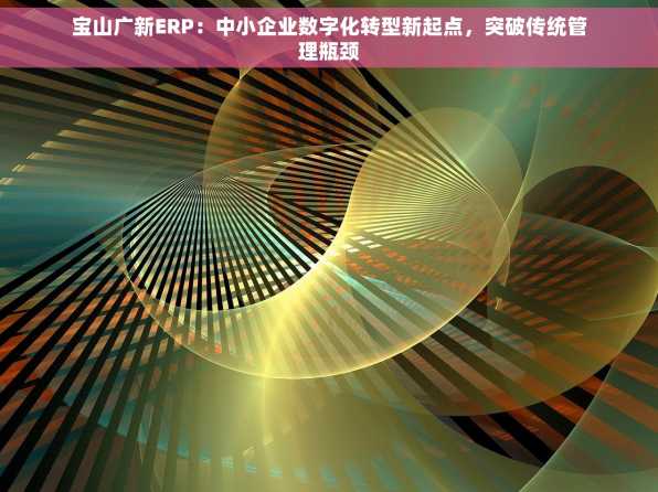 宝山广新ERP：中小企业数字化转型新起点，突破传统管理瓶颈