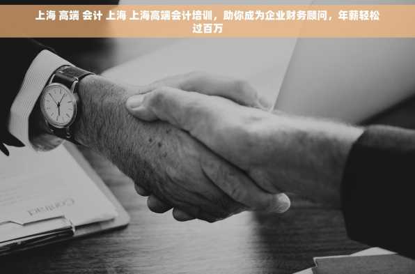 上海 高端 会计 上海 上海高端会计培训，助你成为企业财务顾问，年薪轻松过百万
