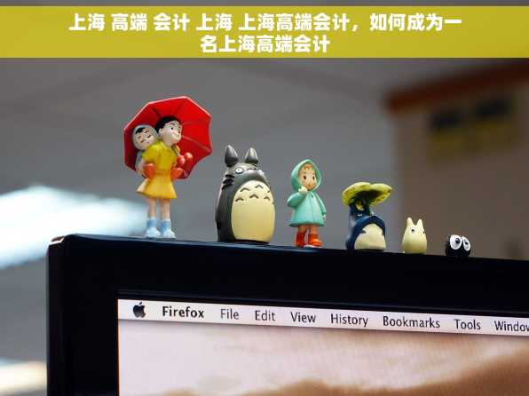上海 高端 会计 上海 上海高端会计，如何成为一名上海高端会计