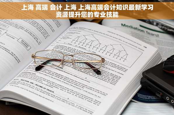 上海 高端 会计 上海 上海高端会计知识最新学习资源提升您的专业技能