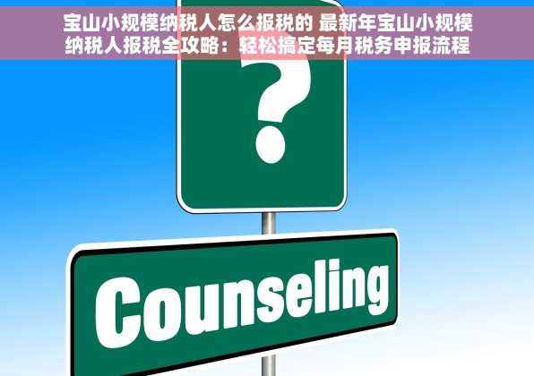 宝山小规模纳税人怎么报税的 最新年宝山小规模纳税人报税全攻略：轻松搞定每月税务申报流程