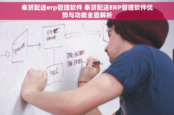 奉贤配送erp管理软件 奉贤配送ERP管理软件优势与功能全面解析