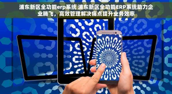 浦东新区全功能erp系统 浦东新区全功能ERP系统助力企业腾飞，高效管理解决痛点提升业务效率