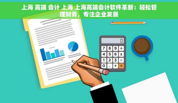 上海 高端 会计 上海 上海高端会计软件革新：轻松管理财务，专注企业发展