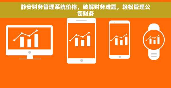 静安财务管理系统价格，破解财务难题，轻松管理公司财务