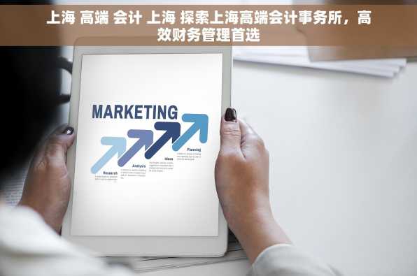 上海 高端 会计 上海 探索上海高端会计事务所，高效财务管理首选