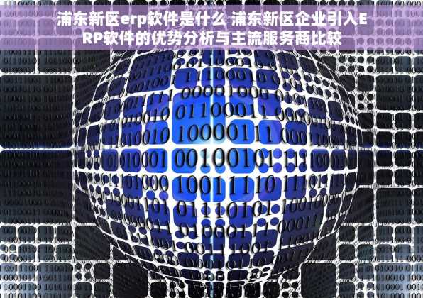 浦东新区erp软件是什么 浦东新区企业引入ERP软件的优势分析与主流服务商比较
