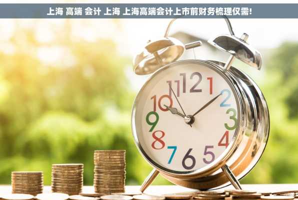 上海 高端 会计 上海 上海高端会计上市前财务梳理仅需!