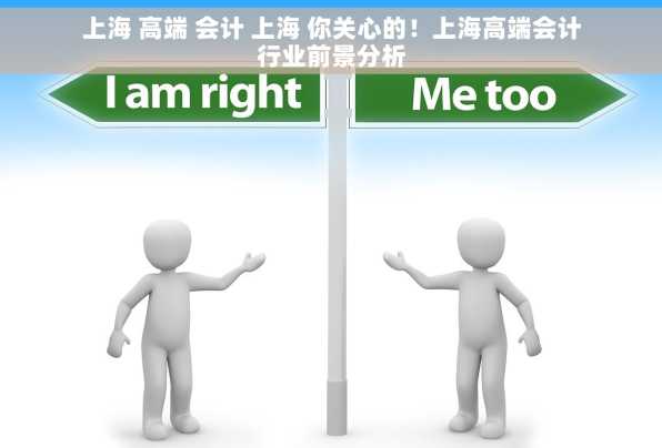 上海 高端 会计 上海 你关心的！上海高端会计行业前景分析