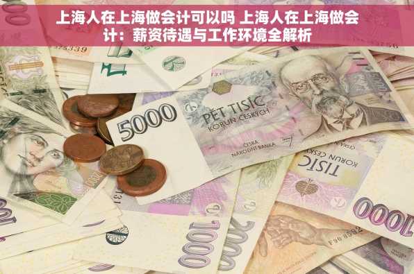 上海人在上海做会计可以吗 上海人在上海做会计：薪资待遇与工作环境全解析