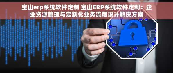宝山erp系统软件定制 宝山ERP系统软件定制：企业资源管理与定制化业务流程设计解决方案