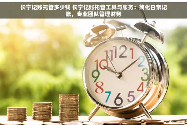 长宁记账托管多少钱 长宁记账托管工具与服务：简化日常记账，专业团队管理财务