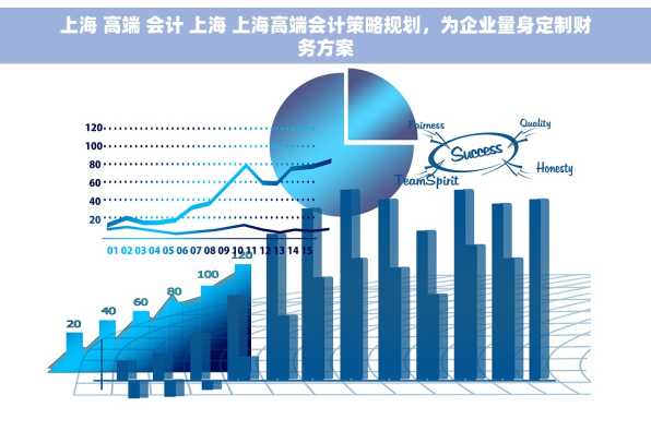 上海 高端 会计 上海 上海高端会计策略规划，为企业量身定制财务方案