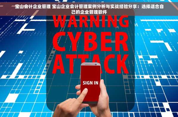 宝山会计企业管理 宝山企业会计管理案例分析与实战经验分享：选择适合自己的企业管理软件