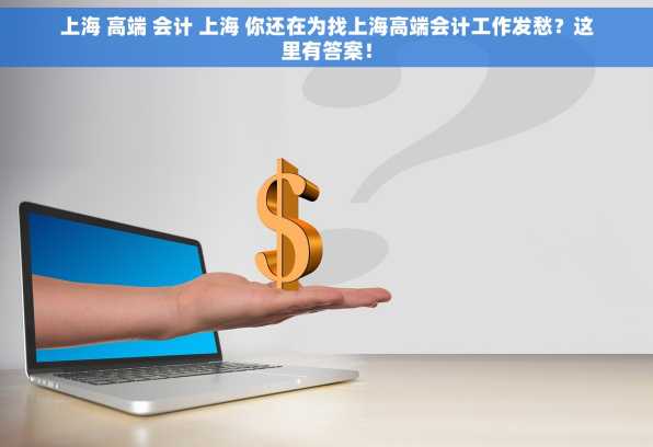 上海 高端 会计 上海 你还在为找上海高端会计工作发愁？这里有答案！