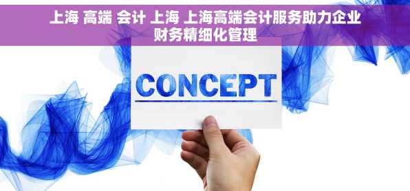上海 高端 会计 上海 上海高端会计服务助力企业财务精细化管理