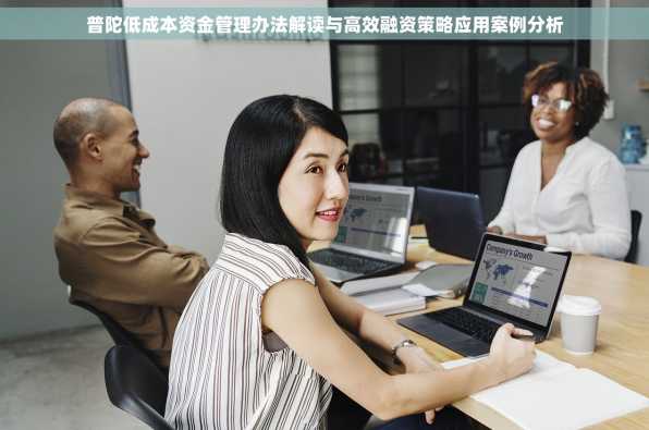 普陀低成本资金管理办法解读与高效融资策略应用案例分析